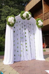 Свадебная арка, украшенная тканью и живой гортензией