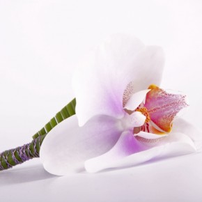 Бутоньерка жениха из орхидеи