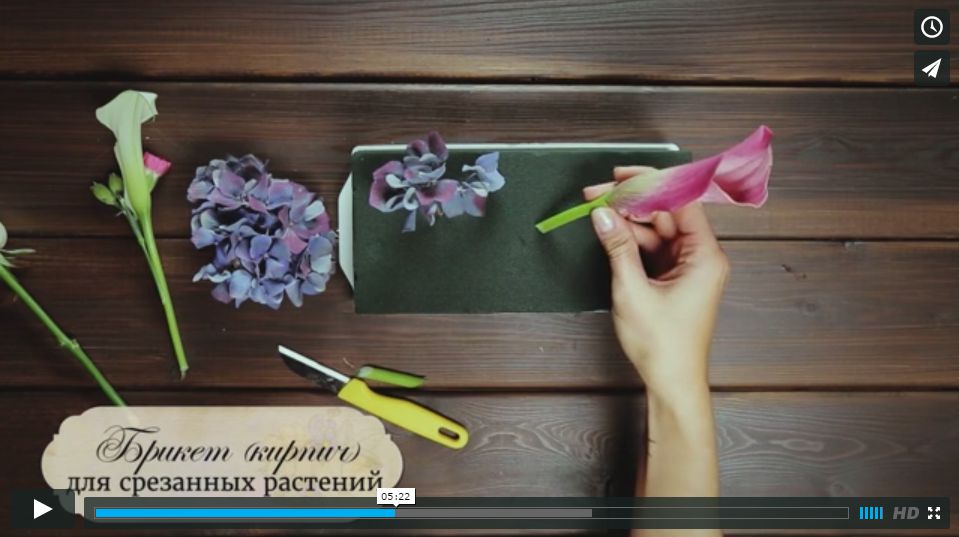 Kurs-floristika-dlya-nachinayushchih-7