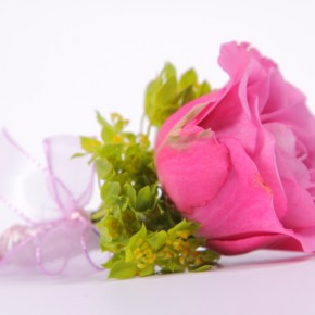 Бутоньерка жениха из розовой розы